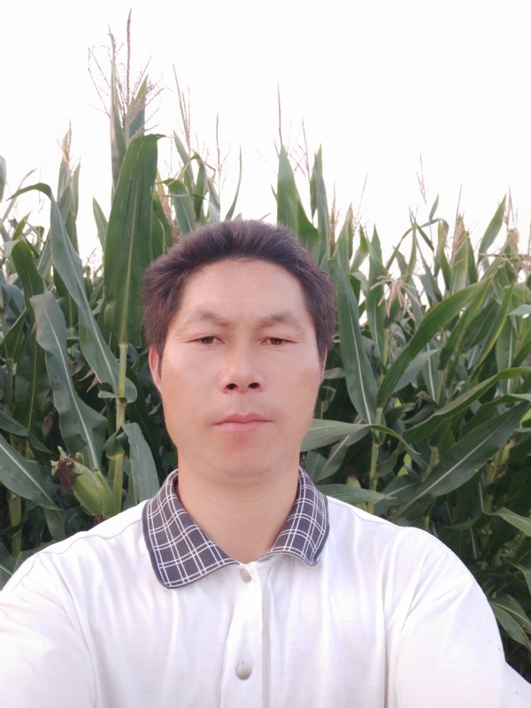 四海游龙的第一张照片--宜城认干亲服务网